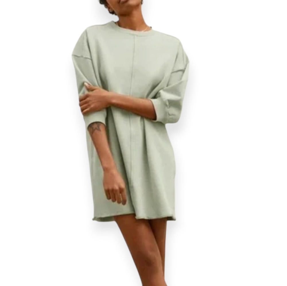 Everlane Track Dress Organic Cotton Sweatshirt Sage Green XS